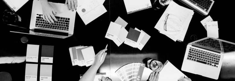 Tulip Tree Marketing