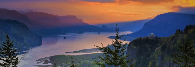 3 and 1 Marketing, Inc.