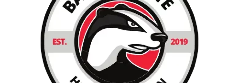 Badger State Hosting and Design