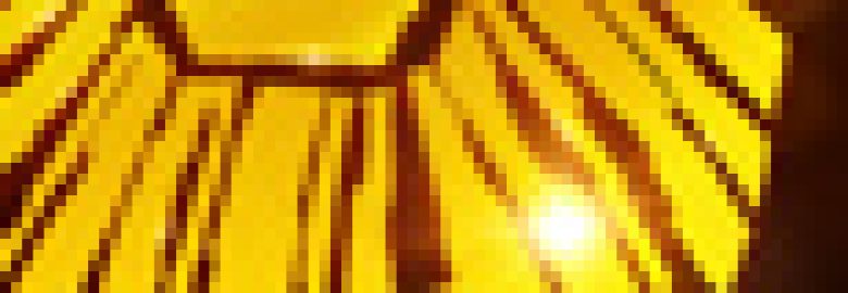 Crown Vista Web & Media