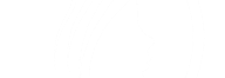 Lillian Management LLC