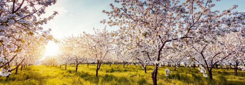 Social Bytes Marketing