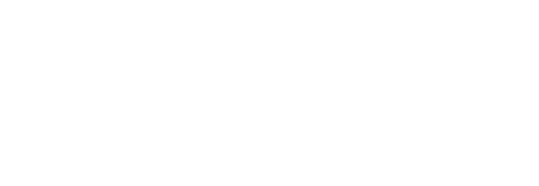 19 THE AGENCY