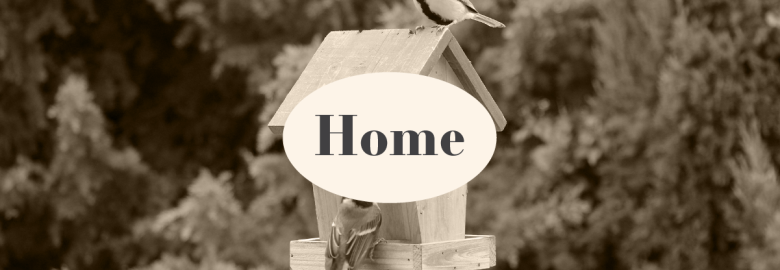 Little Bird Marketing