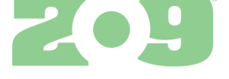 209 Multimedia