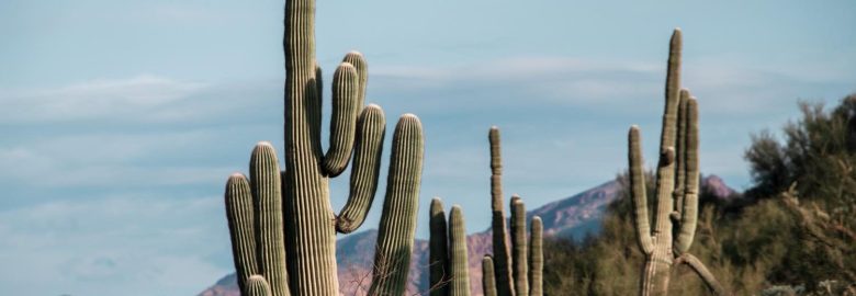 AZ Digital Branding
