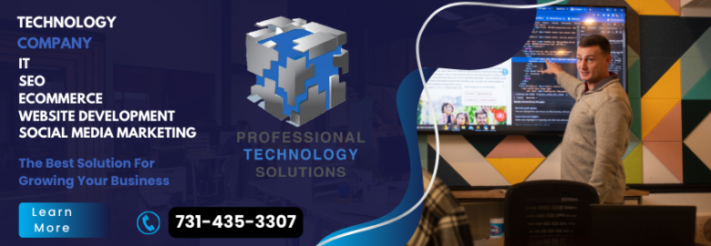 Professional Technology Solutions