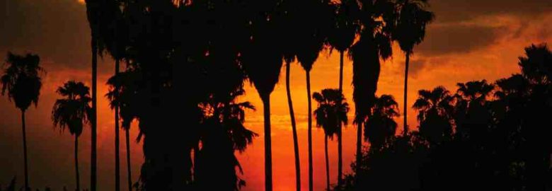 Welcome Home Rio Grande Valley