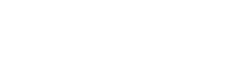 Live Tour Network, Inc