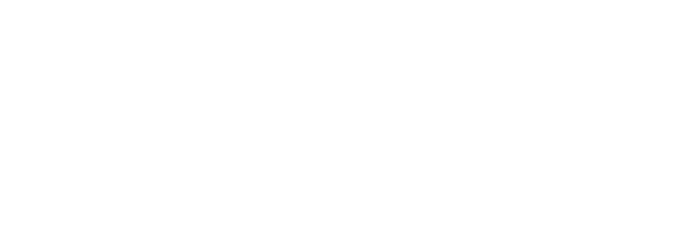 Think Wild Digital Agency