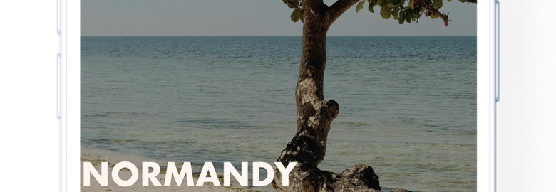 Normandy Digital Marketing Solutions, Inc.