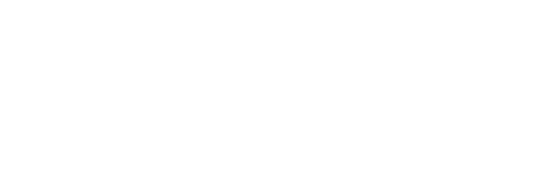Transparent Digital Agency