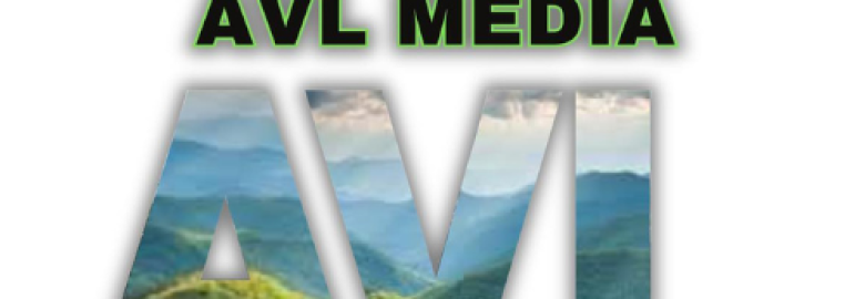AVL Media- Websites & Digital Marketing