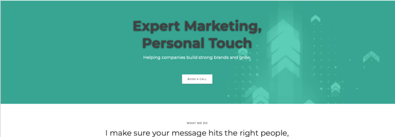 DB Insights, LLC