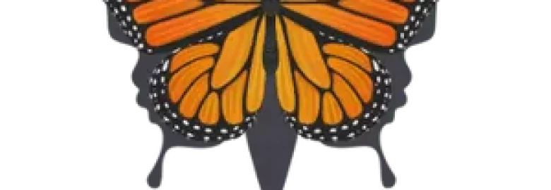 Monarch Marketing