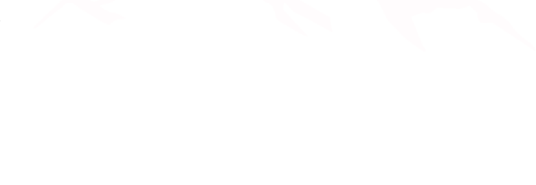 49th state marketing and design