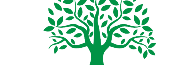 TreeLead Accelerator Marketing