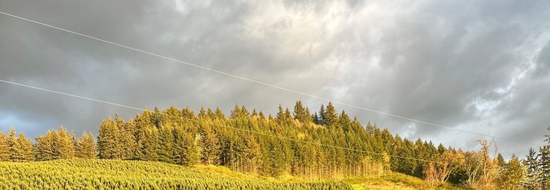 Double Tap Marketing