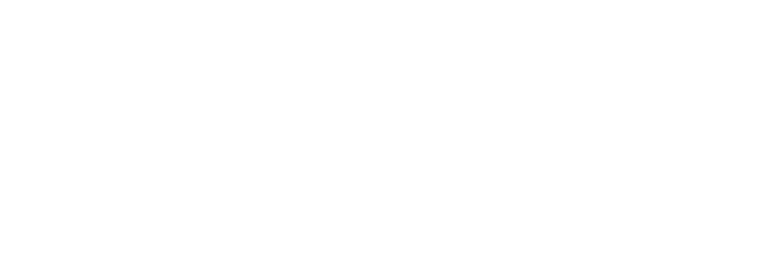 Agency 877
