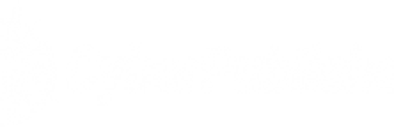 A & E Cyber Publishers