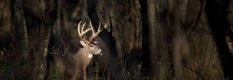 Modern Outdoor Media