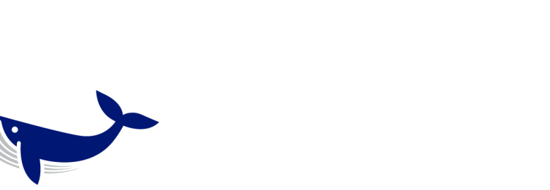 WhaleScale Media Co.