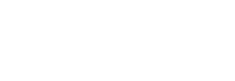 The Brandlove Effect