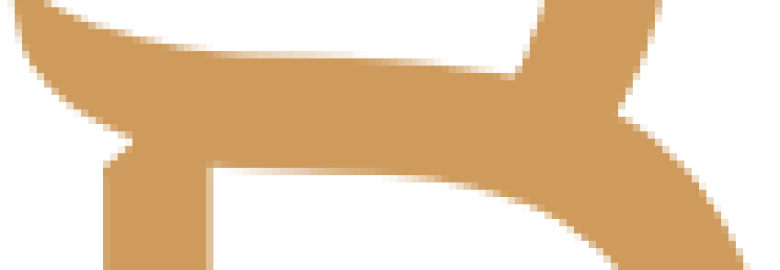 Braven Agency