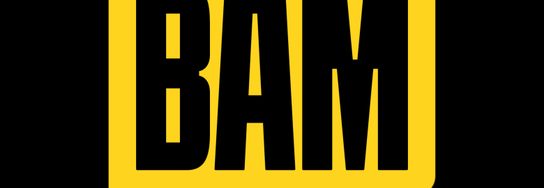 Bay Area Media Inc