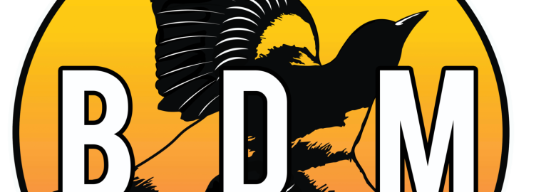 Birdland Digital Marketing