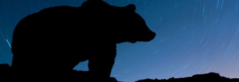 BearStar Marketing
