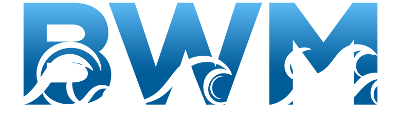 Blue Water Marketing