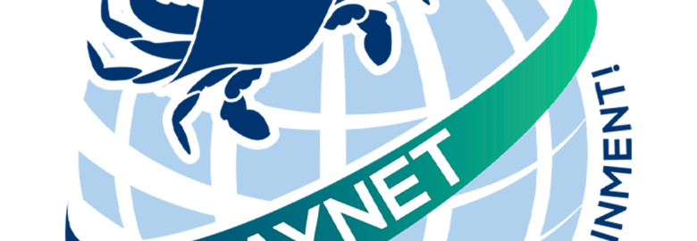 TheBayNet.com
