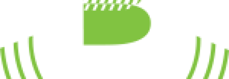 Beson4