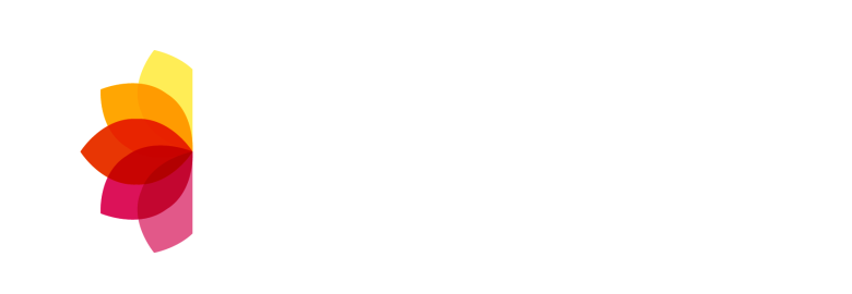 Bloom Media Agency