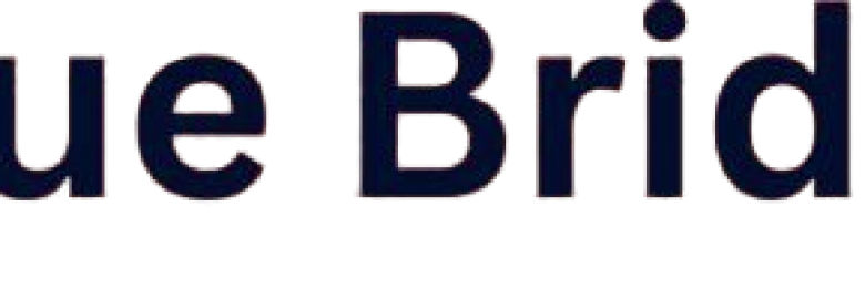 Blue Bridge Marketing