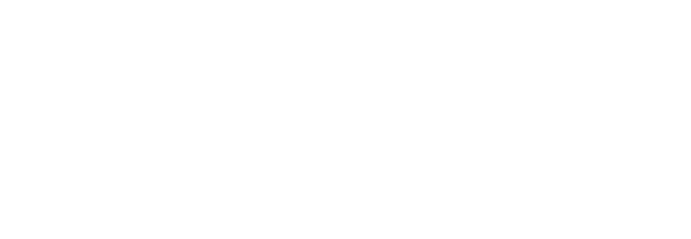 BolsterWP