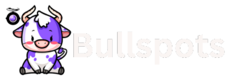 Bullspots | Website Design | SEO | Logo Design & Brand Identity