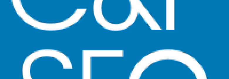 Cape & Plymouth SEO Services and Web Design