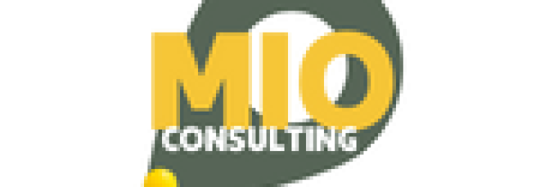 MAP it out Consulting LLC