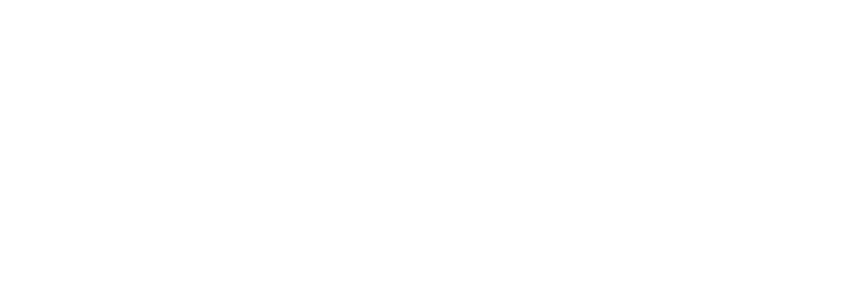 Dion Marketing Company