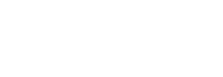 Dapper Market Solutions LLC