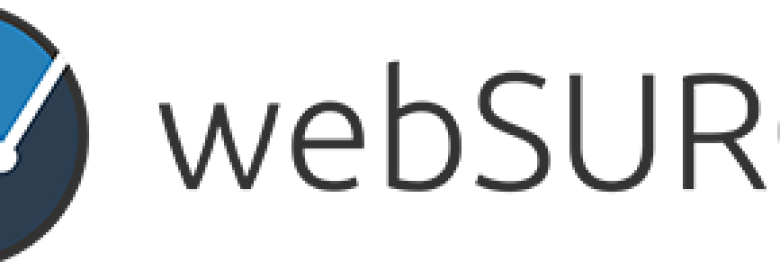 webSURGE Digital Marketing