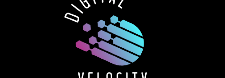 Digital Velocity and SEO