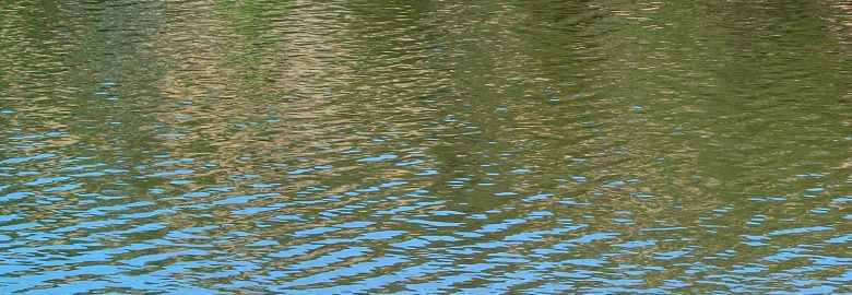 Dan Frank Digital Design