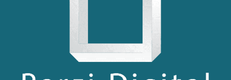 Parzi Digital Marketing