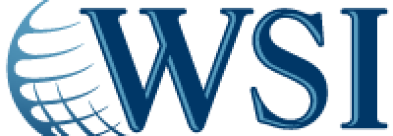 Digital Dynamics WSI