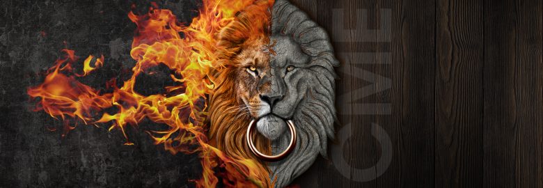 Creative Media Enterprises LLC