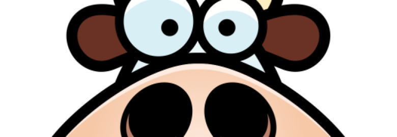 Holy Cow Online Marketing