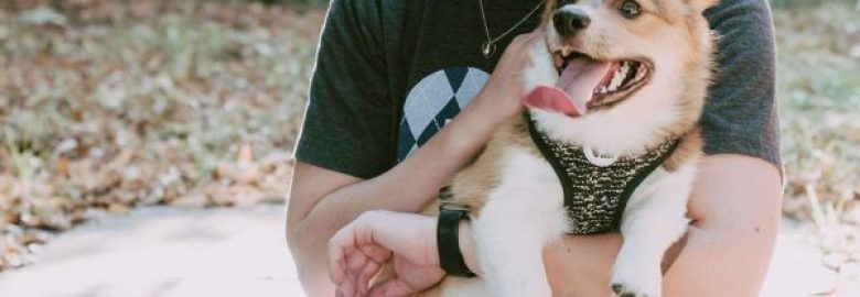 Wildly Creative Studio